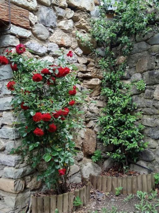 La Borda De Sesue Vila Exterior foto